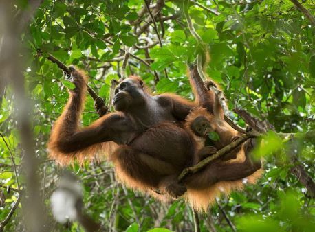 Een beestachtig mooie zomer