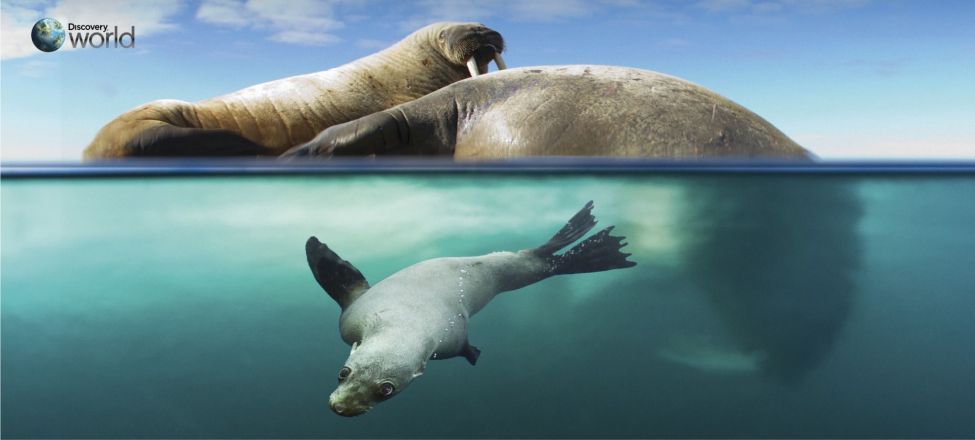 Discovery World bij Kabelnoord