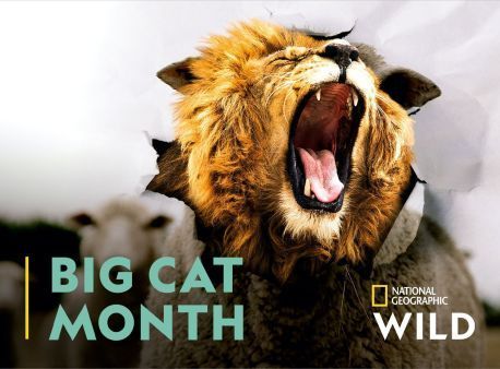 National Geographic Wild is Zender van de Maand