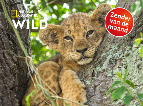 En kijk de hele maand februari gratis naar National Geograpic Wild!