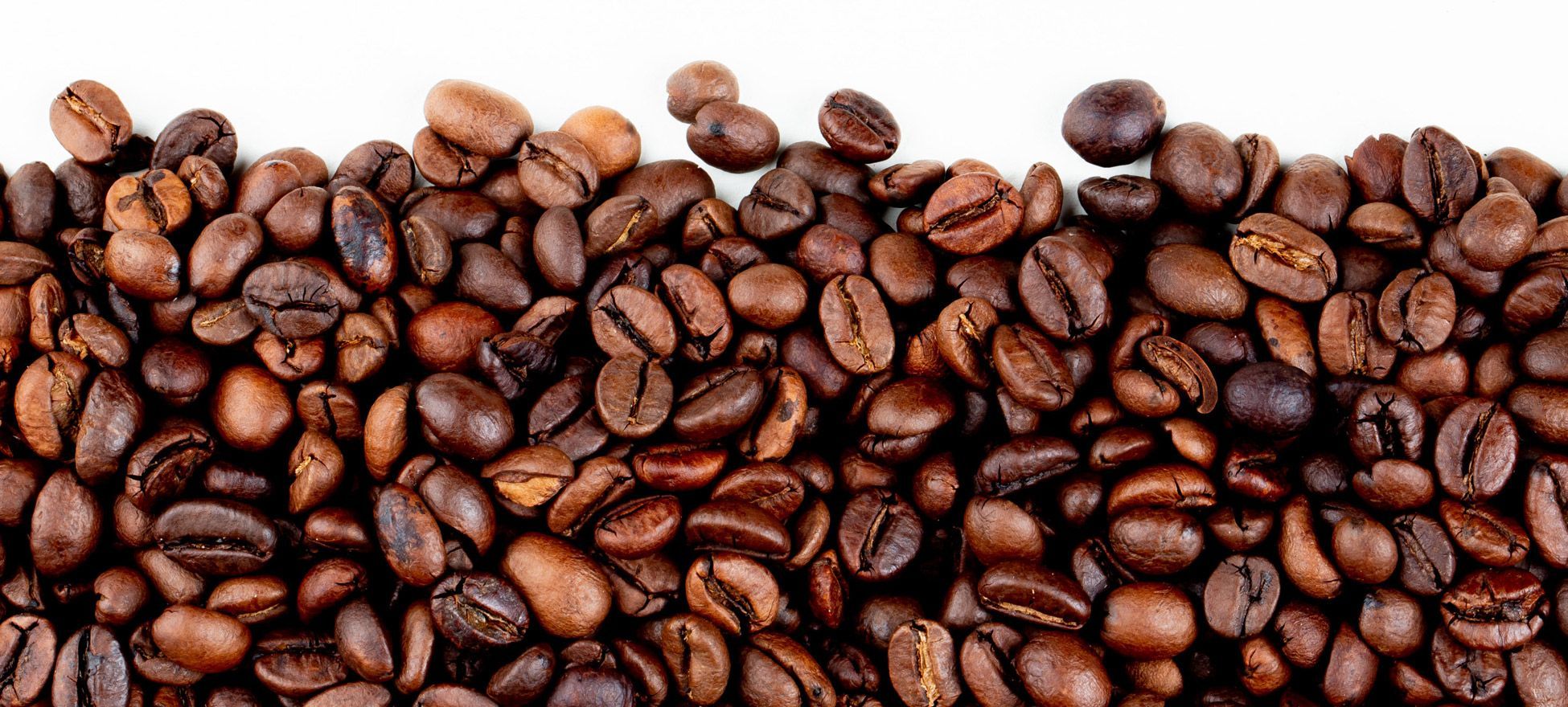 Kabelnoord trakteert op Guzo Fairshare-koffie