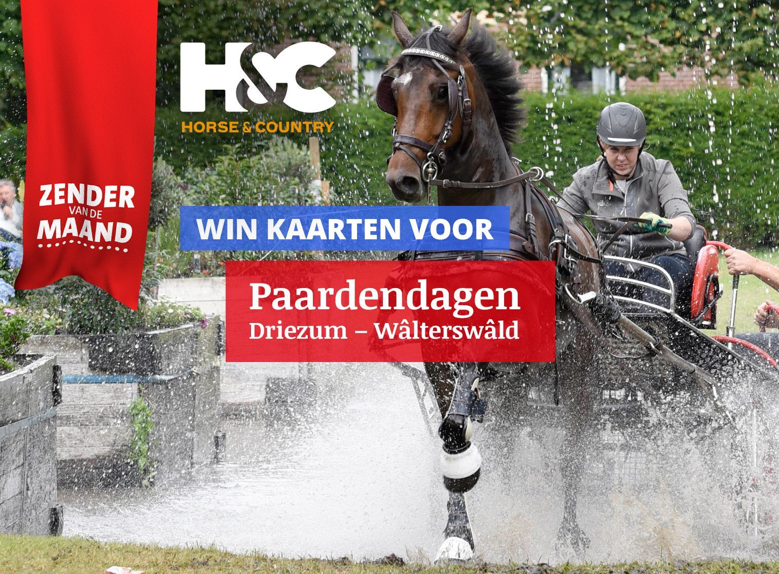 Maak kans op vrijkaarten voor de Paardendagen