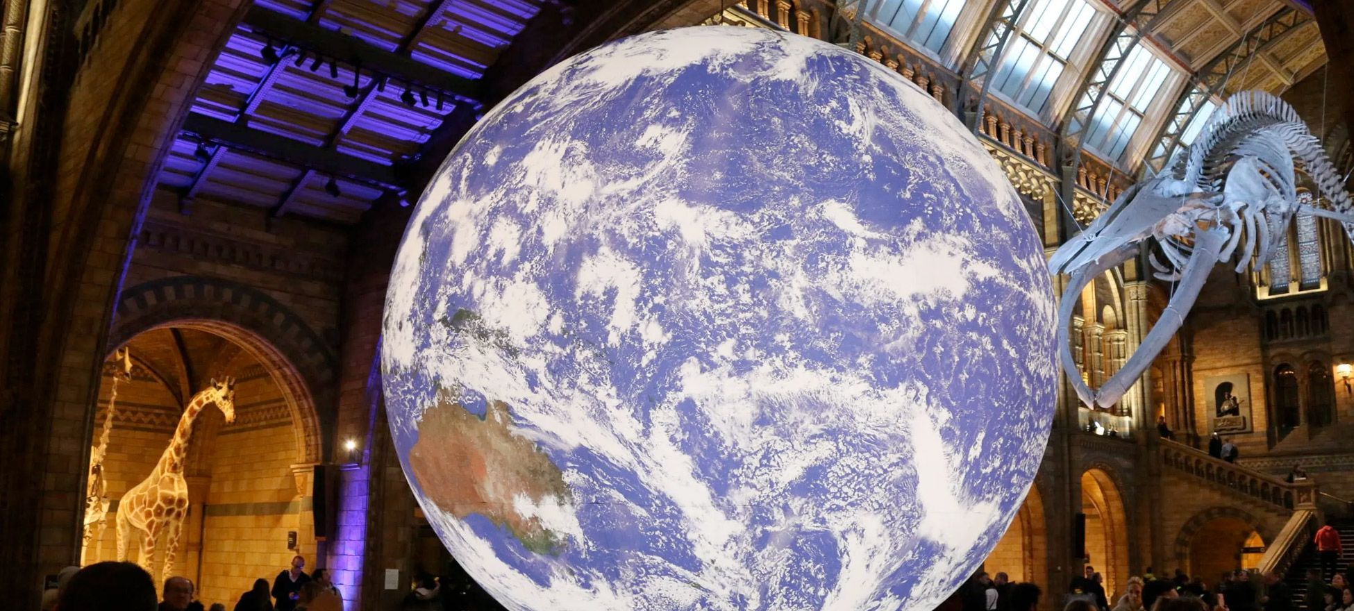 Holen Sie sich diesen Sommer die Welt in Ihr Zuhause